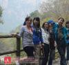 �����T���L��